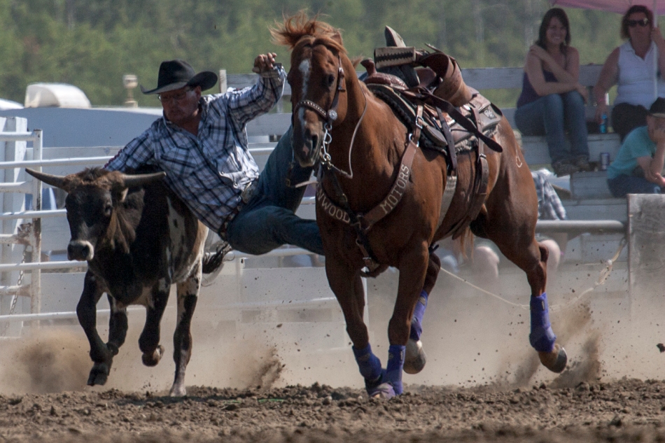 Steven Turner, from Cochrane, Alta. tries to wrestle a steer during the second day of the North Peace Rodeo on Saturday August 2, 2014 at Lac Cardinal in Grimshaw, Alta. Adam Dietrich | Record-Gazette/QMI Agency